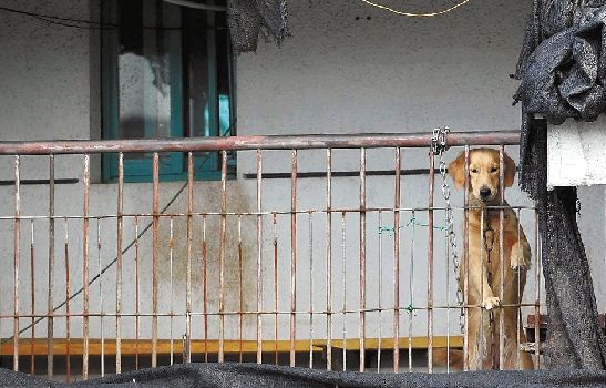 陈某父亲曾在陈某上初中时