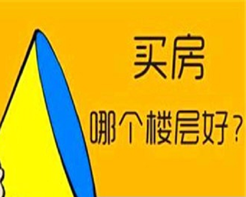 我们必须只能选一种我们只选二手房