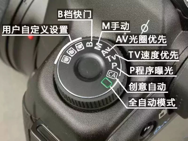 戴一顶呢子帽的张老汉应声站起