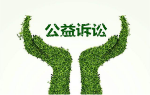 民诉法第五十五条是关于公益诉讼的规定