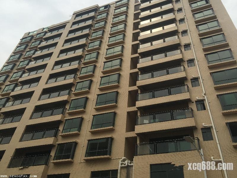 光明拥有中山大学深圳校区