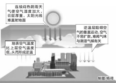 同样价格下尽量选高楼层的
