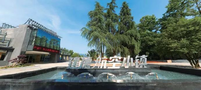 通常作为项目建设的实施者和运营者而存在