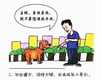 对伤人犬或者疑似患有狂犬病的犬