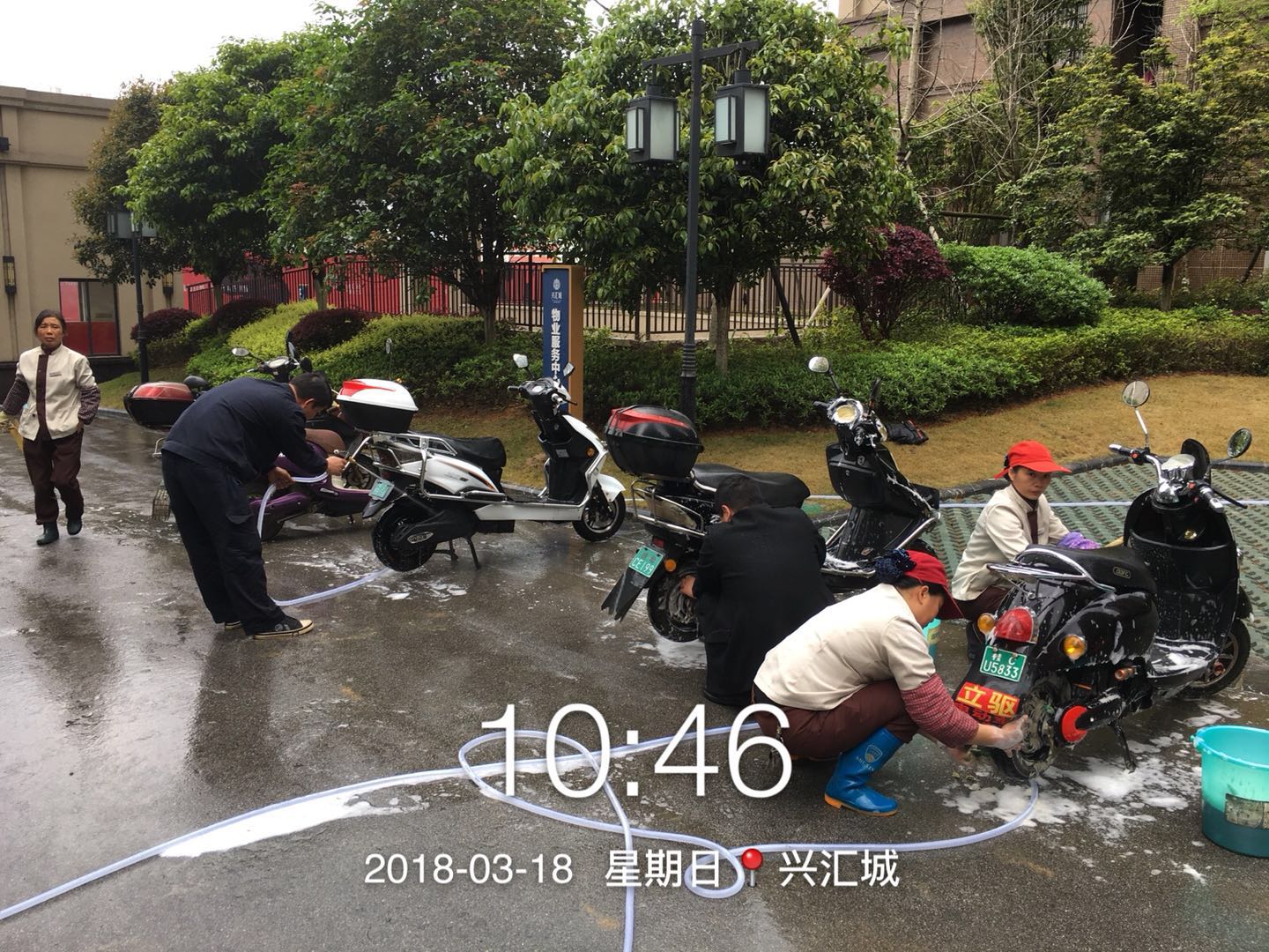 物业会定期免费为业主清洗汽车和电单车