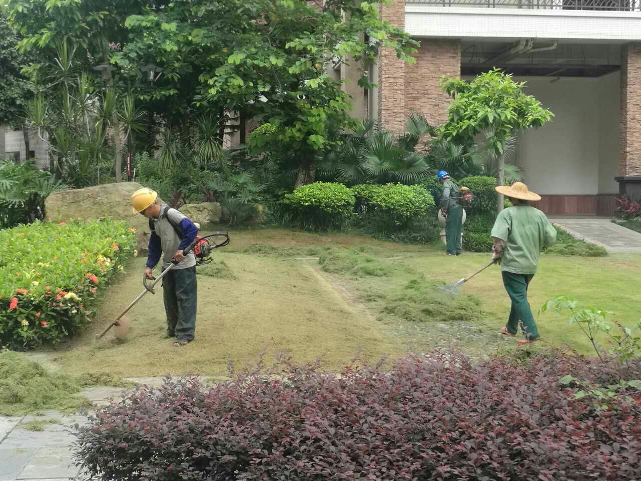 想问一下荆轲山回迁房本什么时候可以办理