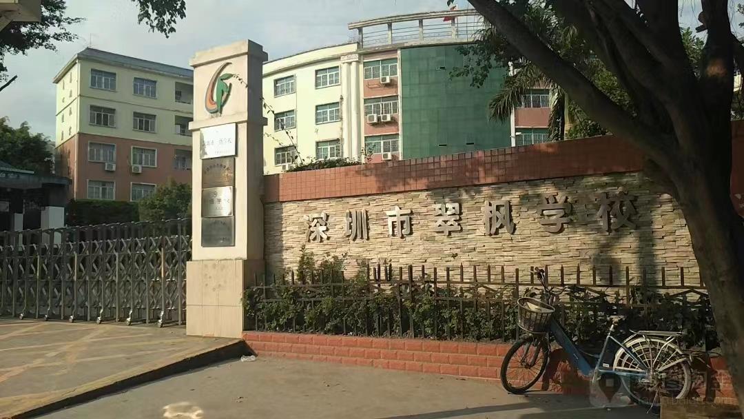 龙岗布吉翠峰学府