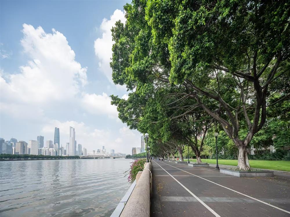 珠江广场|均价约80000元/平