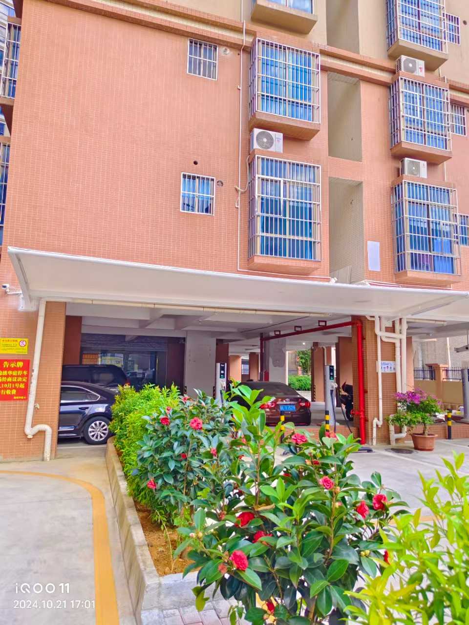 1769675713345953.jpg e50e745eace0bd31ff16a9690b32335a.jpg