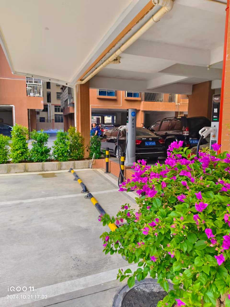 1769675774909785.jpg d0a6f9916d9d40ee1e2fd6306c3ba756.jpg