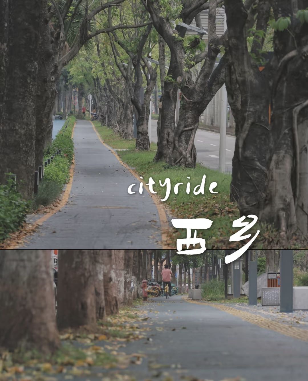 宝安前海•湾景豪庭