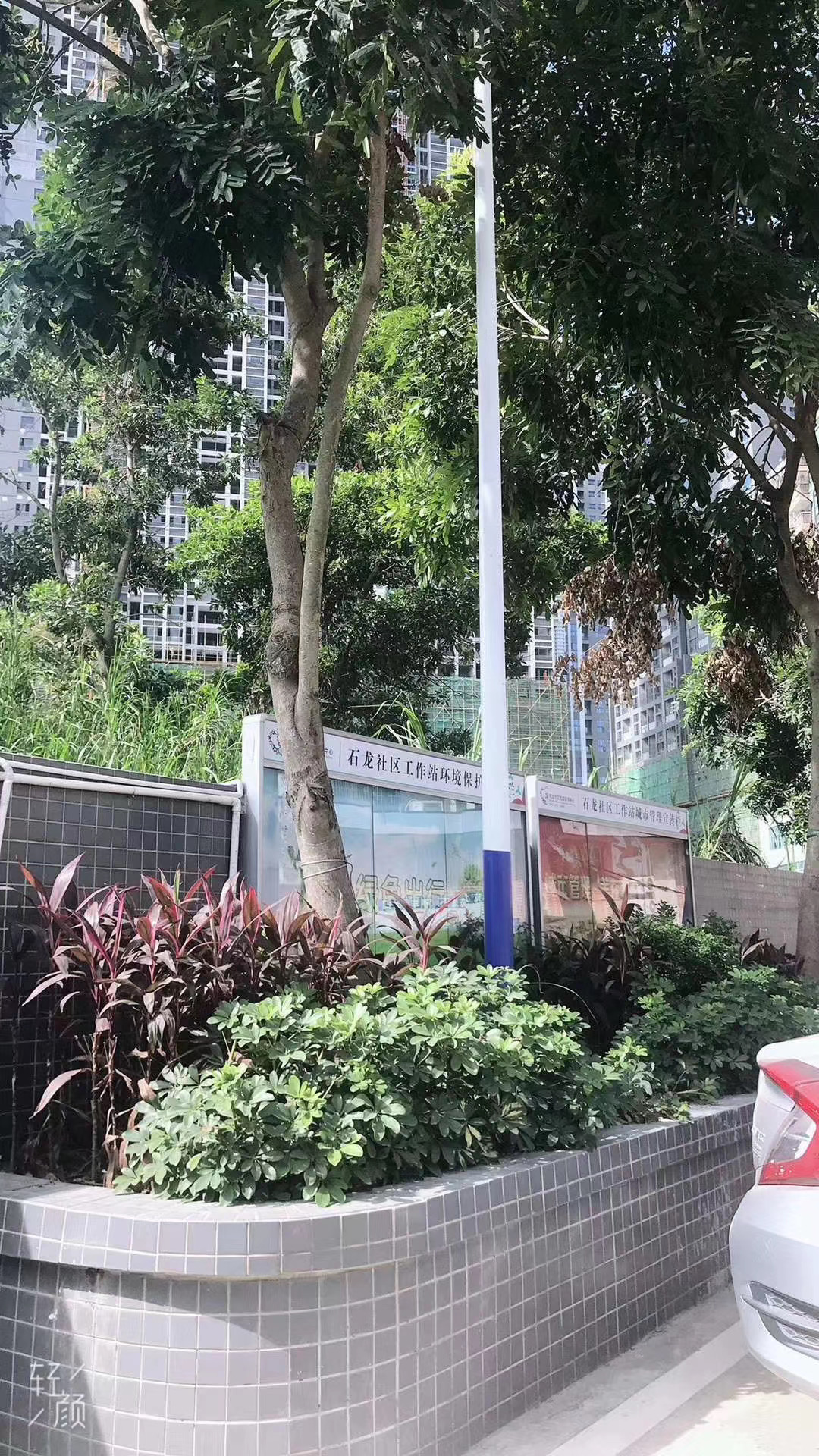 龙华村委统建楼新楼盘