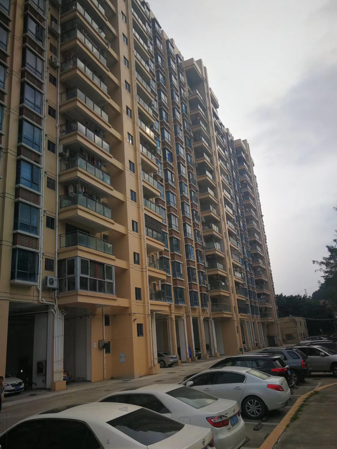 光明村委统建楼