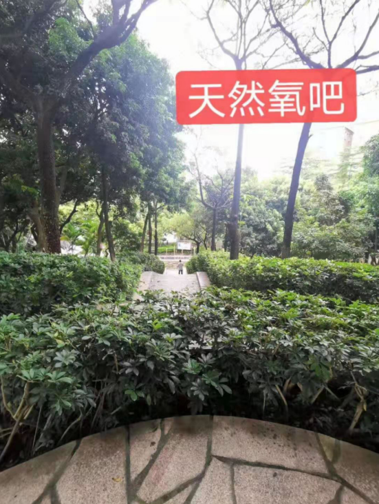 金光华府名校零距离，尽享绿色生态