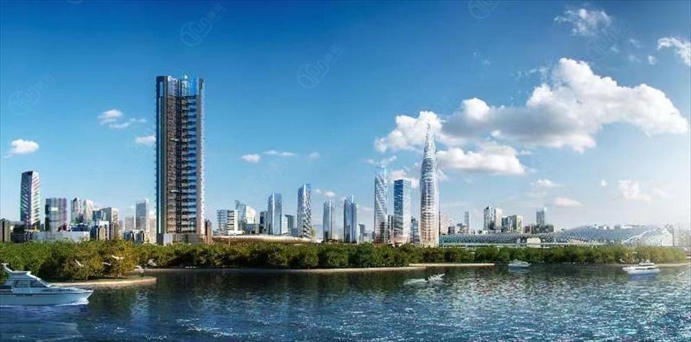 深圳湾公馆-均价250000元/平