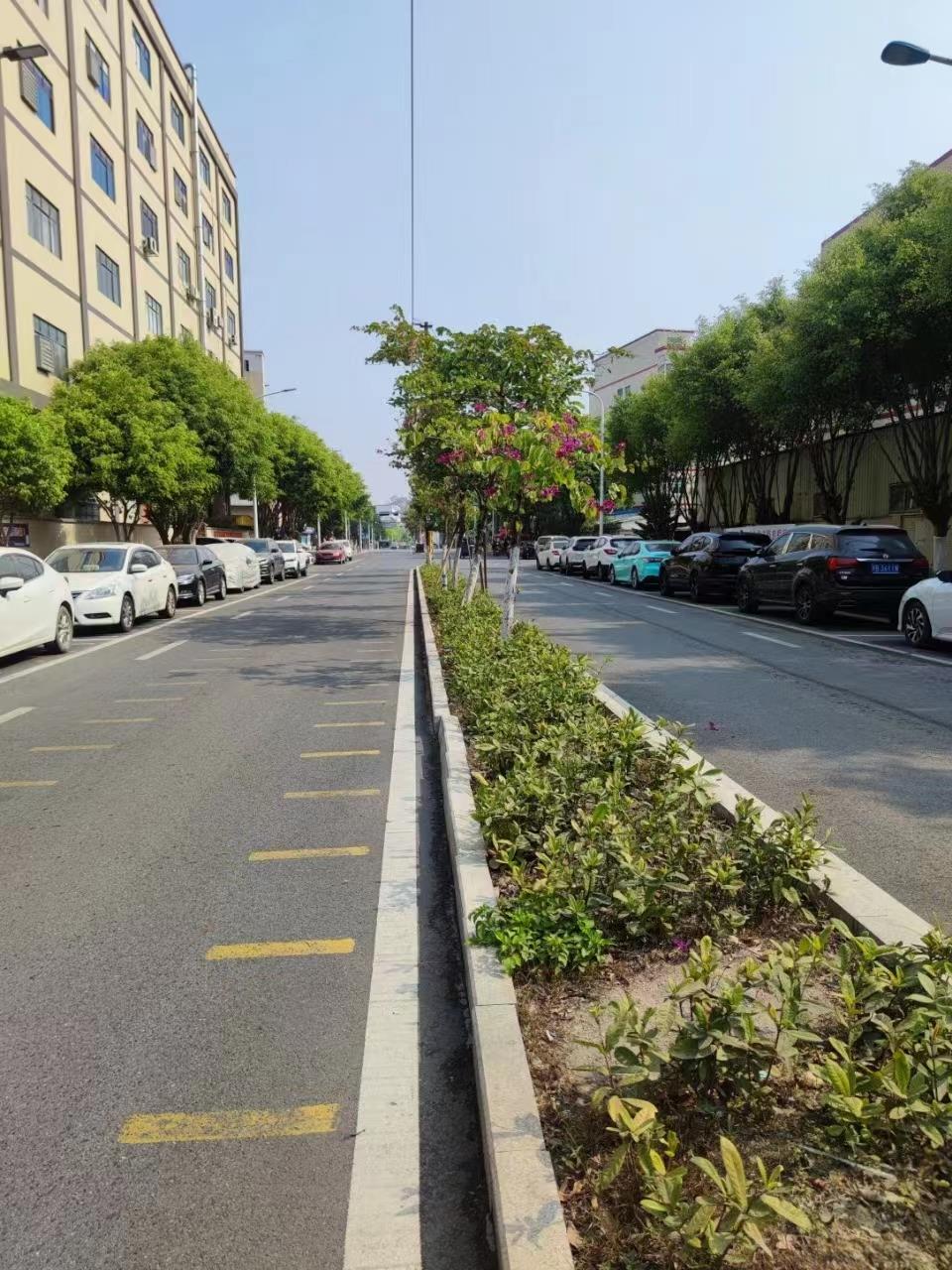 东莞大岭山品果公园里